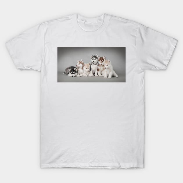 Six Huskies T-Shirt by PetsArt